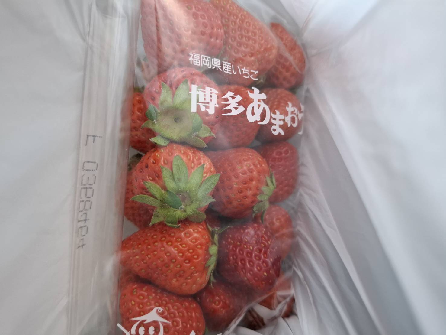 草莓