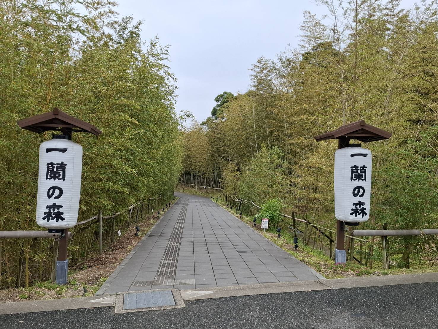 一蘭の森