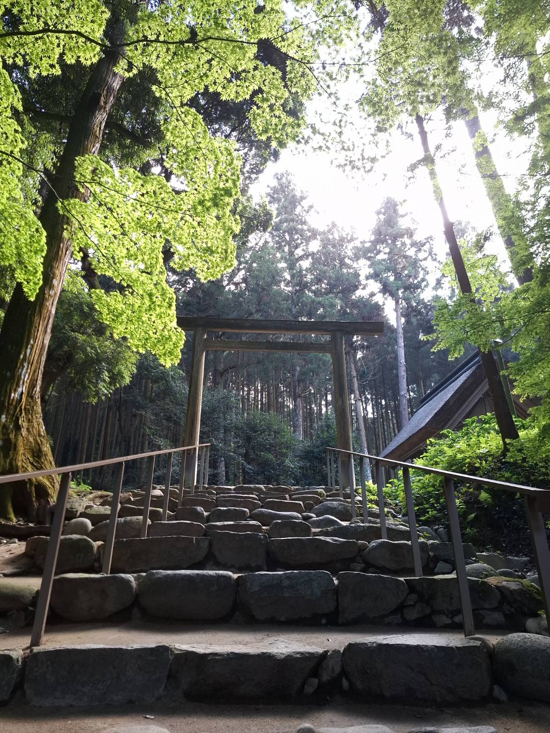 桜井大神宮
